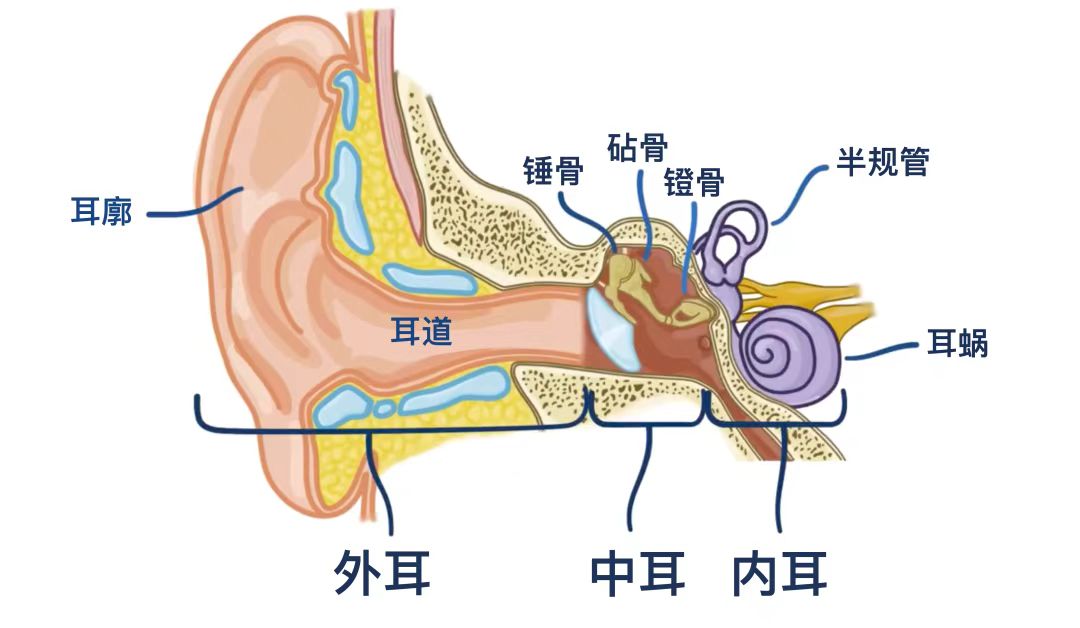 e498370b3c78c9876338f976d192394.jpg