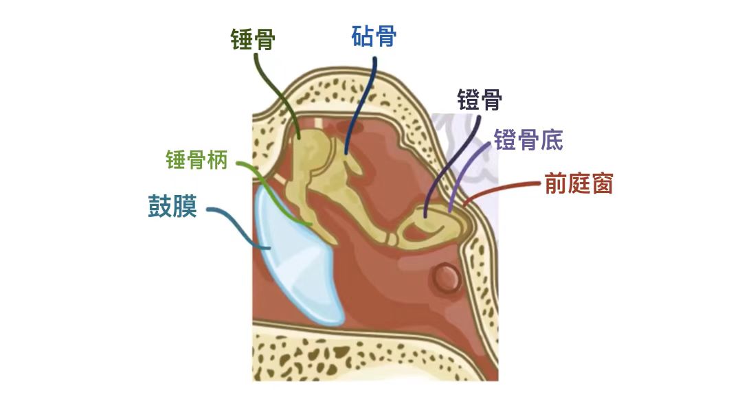 508f08e5ab491c59d1e999fb222d1a7.jpg
