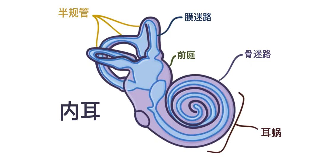 3e96ebbd12b9ca8527d06d7ebdbb26b.jpg