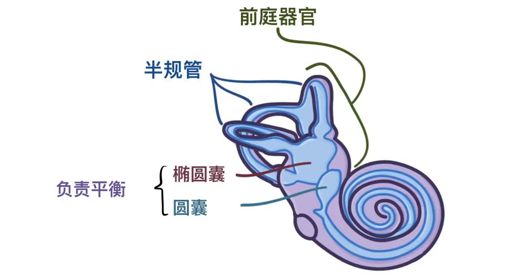 c6dd75f225842c32d89bc04dcd1c79b.jpg